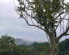 lolontlia Altpins Profile Picture