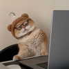 ambrzinha666 Altpins Profile Picture