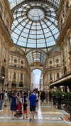 federica.piccinni Altpins Profile Picture