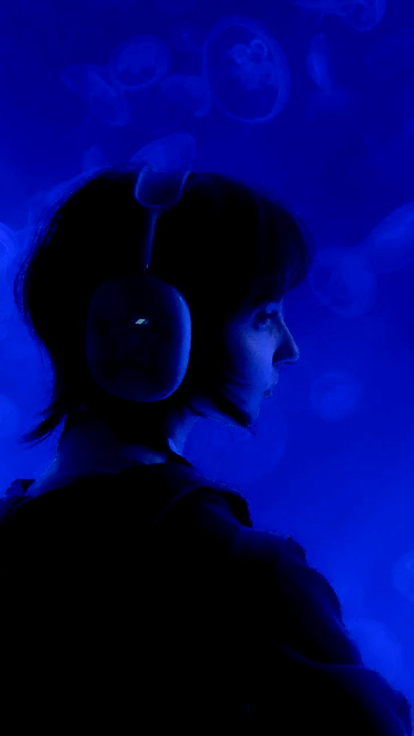 dwpolin instagram image archive image