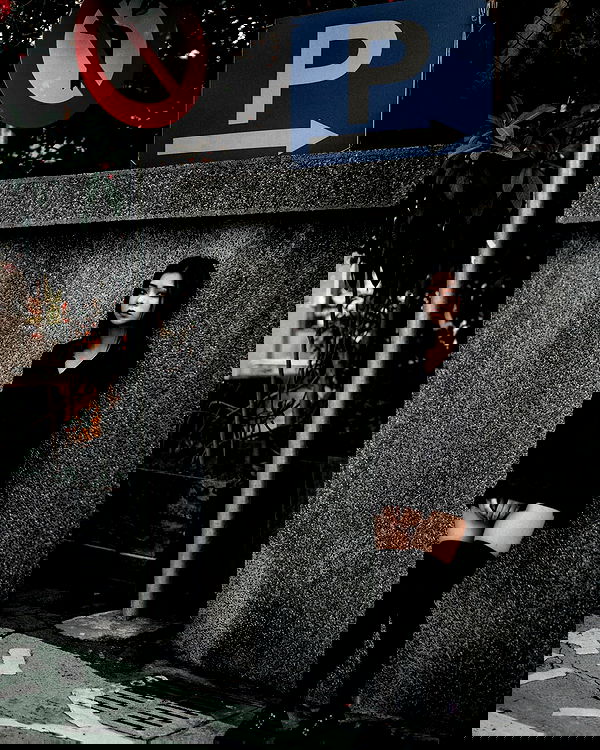 ting851204 ting851204 archive image