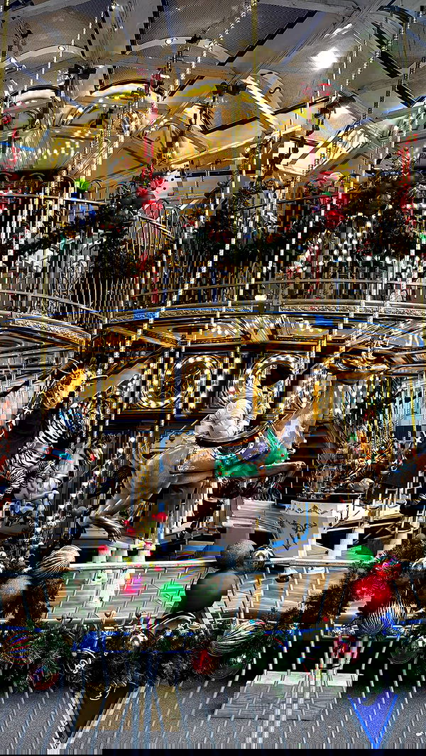 biton__adi biton__adi archive image