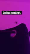 bat.b4by Altpins Profile Picture