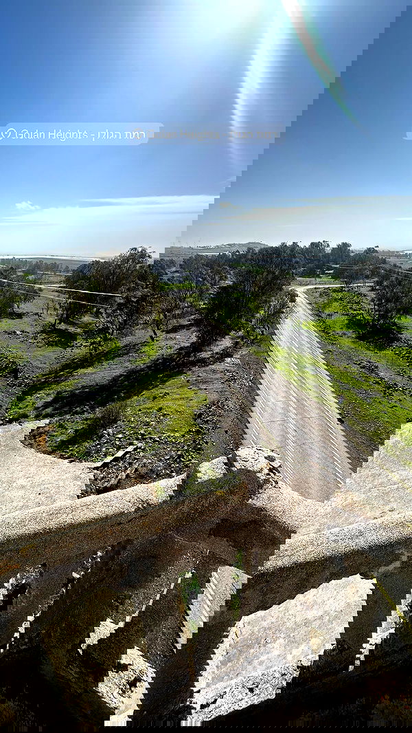 yasmin_kb yasmin_kb archive image