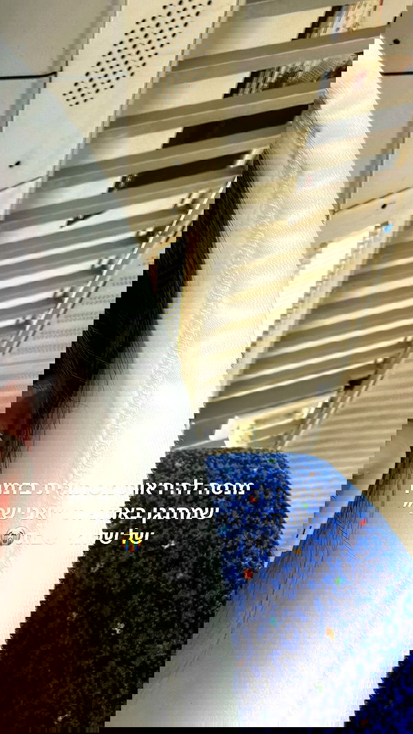 tuliprivet tuliprivet archive image