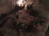 ash.onme Altpins Profile Picture