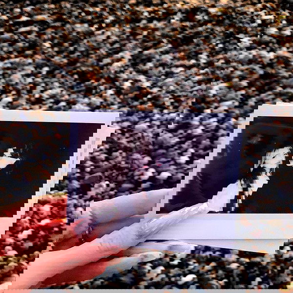 pinx_ir pinx_ir archive image