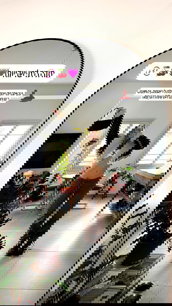 iambohema.v2 iambohema.v2 archive image