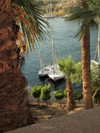 ll.lu1s Altpins Profile Picture
