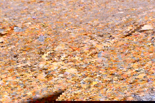 missnyxdawn missnyxdawn archive image