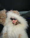 gritsa.k Altpins Profile Picture