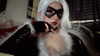 reanidays.cos Altpins Profile Picture