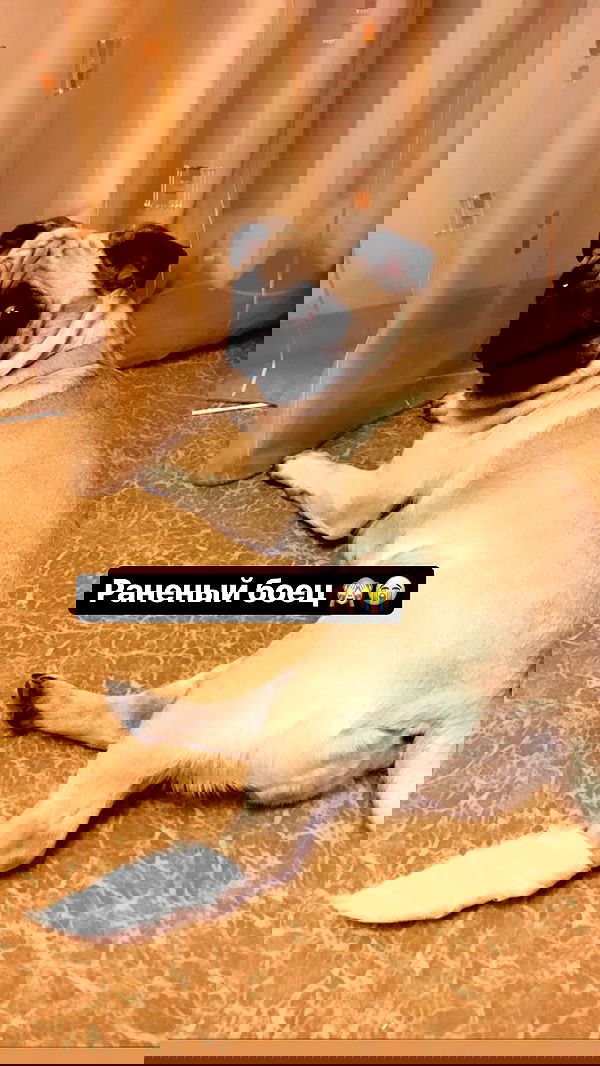 nyityam nyityam archive image