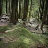lolontlia Altpins Profile Picture
