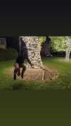 selenagomez Altpins Profile Picture