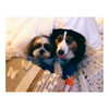 katehudson Altpins Profile Picture