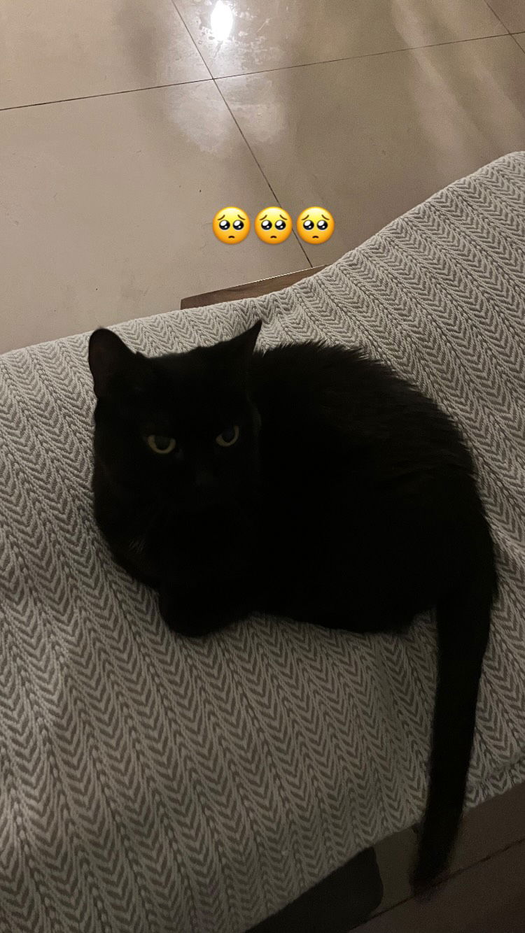 elianachetrit instagram image archive image