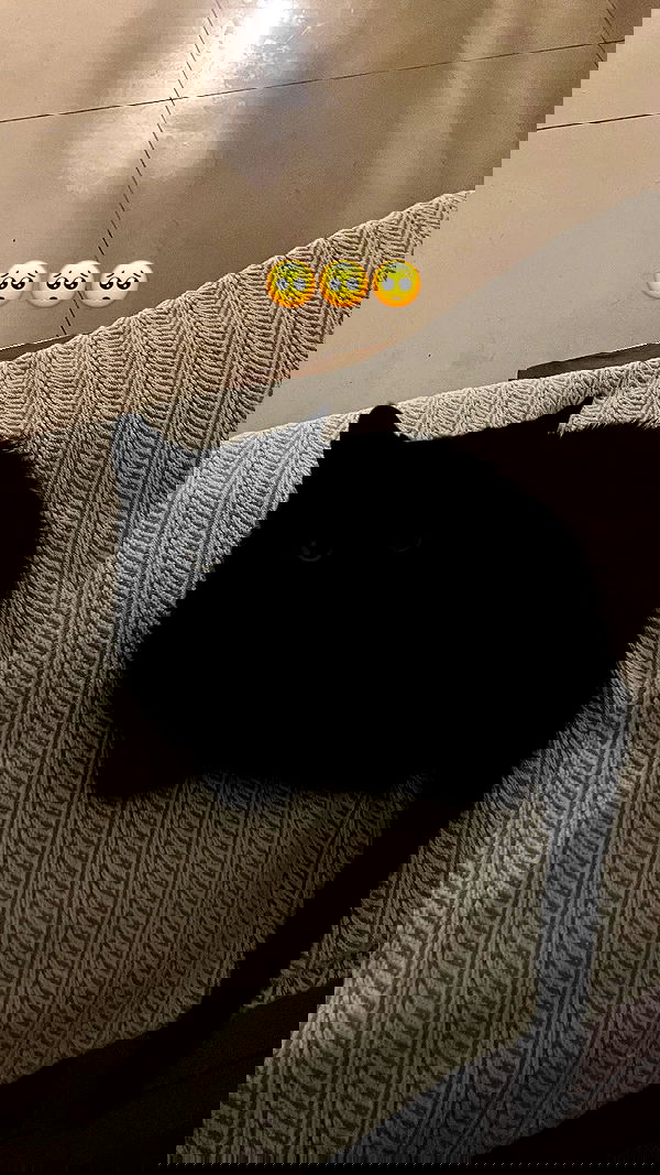 elianachetrit image ~ Altpins