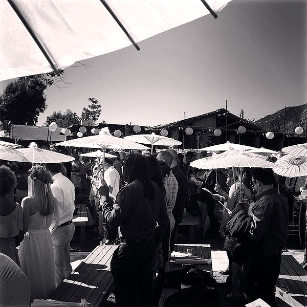 sashapieterse instagram image archive image