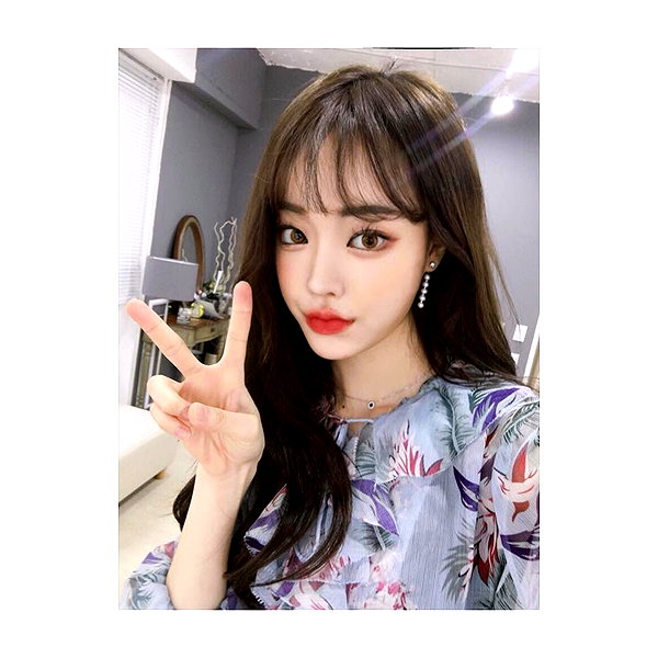 daxbin instagram image archive image