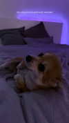 nina.kxs Altpins Profile Picture