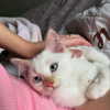 llofreaki Altpins Profile Picture