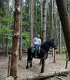 veroni22ka Altpins Profile Picture