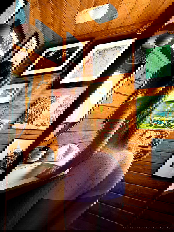 carolinezalog carolinezalog archive image