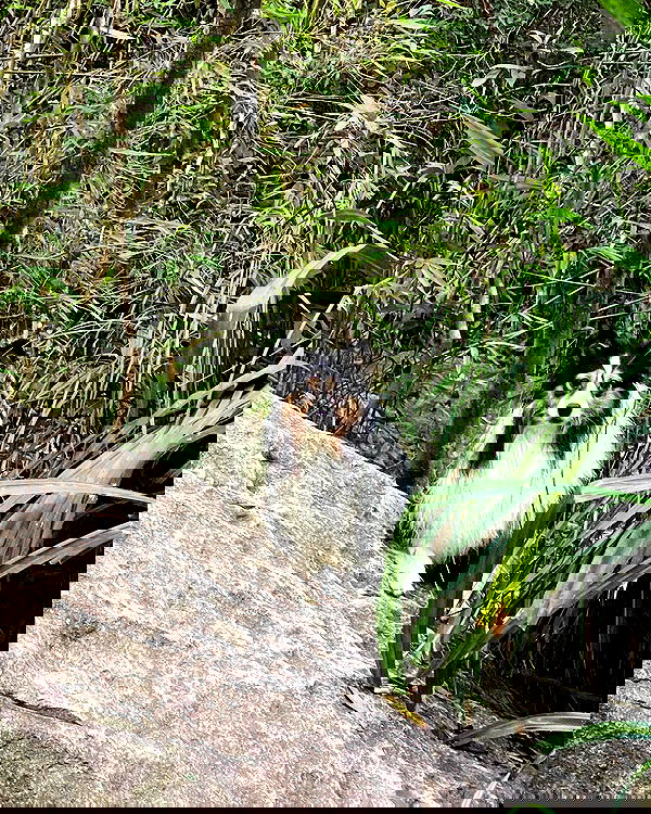 hanna_ky hanna_ky archive image