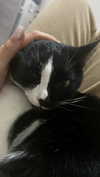 rott3nbambi Altpins Profile Picture