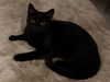 catl0verr69 Altpins Profile Picture