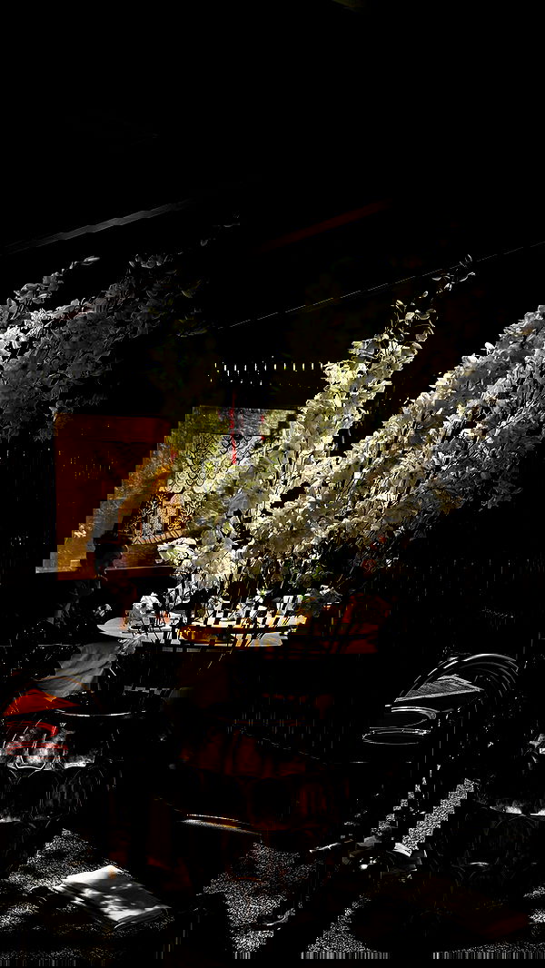 pinx_ir pinx_ir archive image