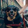 toryburch Altpins Profile Picture
