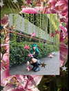 jadelaverne Altpins Profile Picture