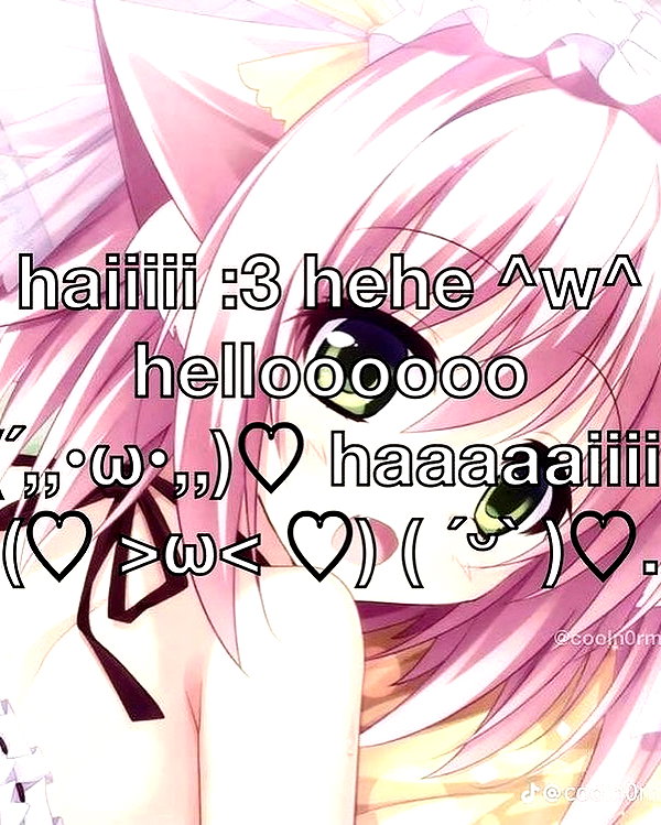 sashasucc sashasucc archive image