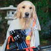 muze Altpins Profile Picture