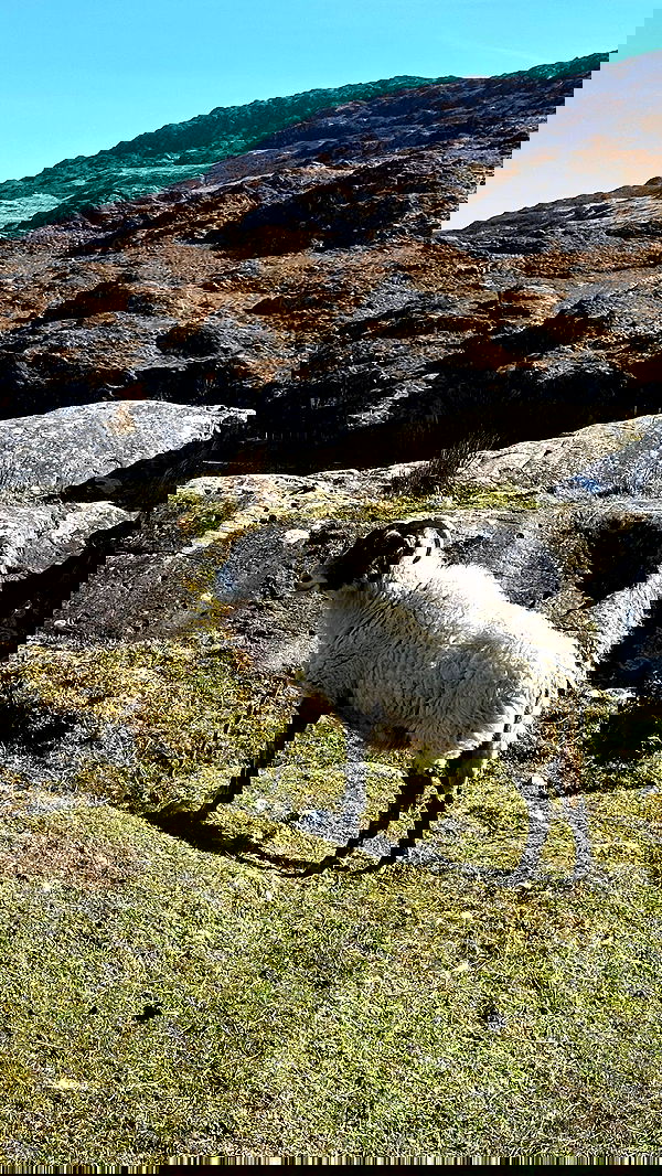 taylor.creeden taylor.creeden archive image