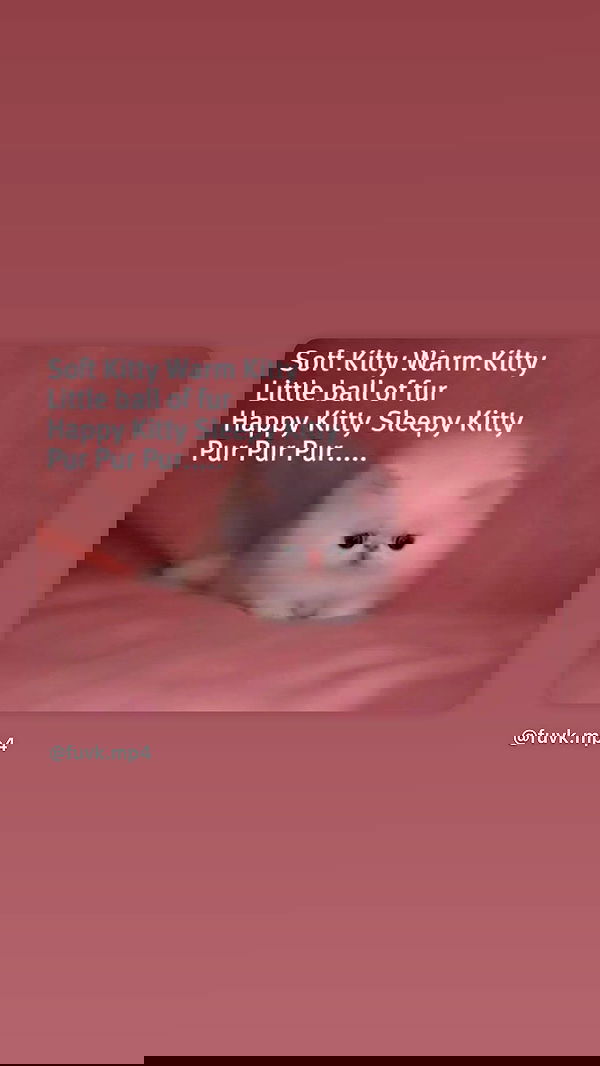 hellokittyangel666 hellokittyangel666 archive image