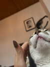 cata.leyah Altpins Profile Picture
