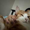 itsnokiiia Altpins Profile Picture