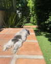ashleybenson Altpins Profile Picture