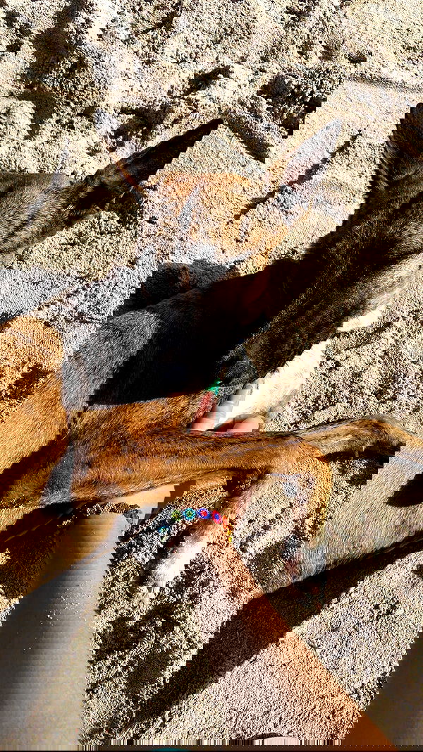 manjolamuriqi manjolamuriqi archive image