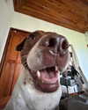 amit._.bar Altpins Profile Picture
