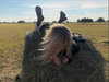 anasilesio Altpins Profile Picture