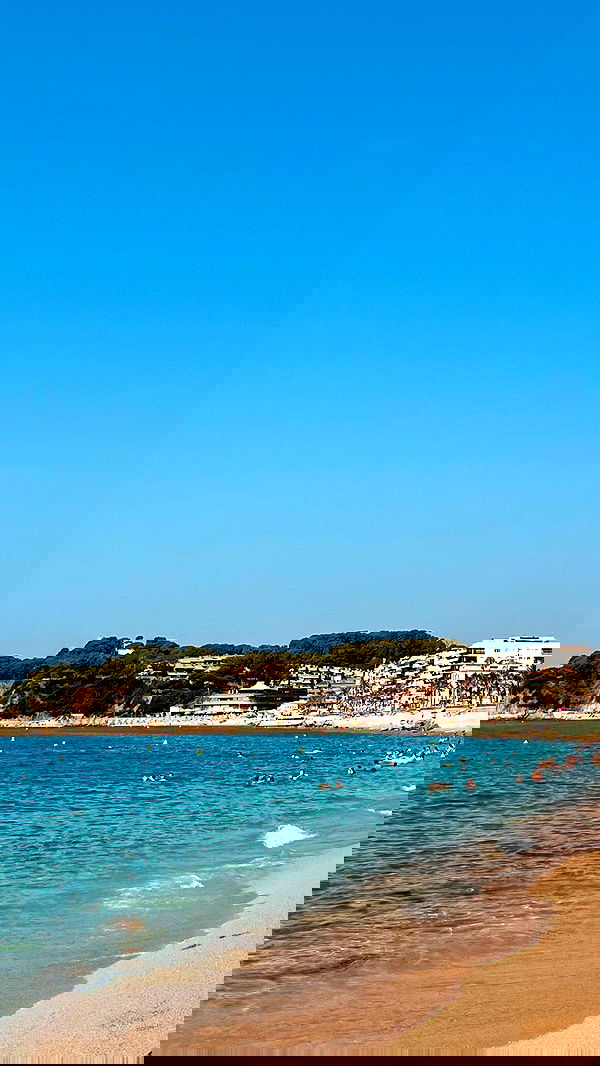 yeela__ yeela__ archive image