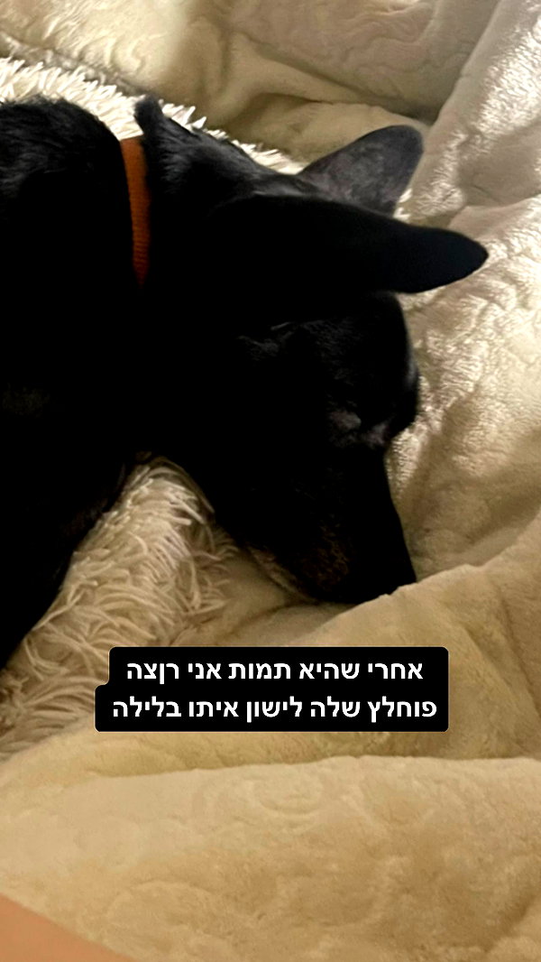 liliashaked instagram image archive image