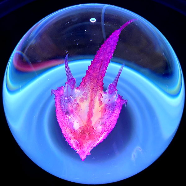 jiw_____n instagram image archive image