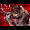 carmaxlla Altpins Profile Picture
