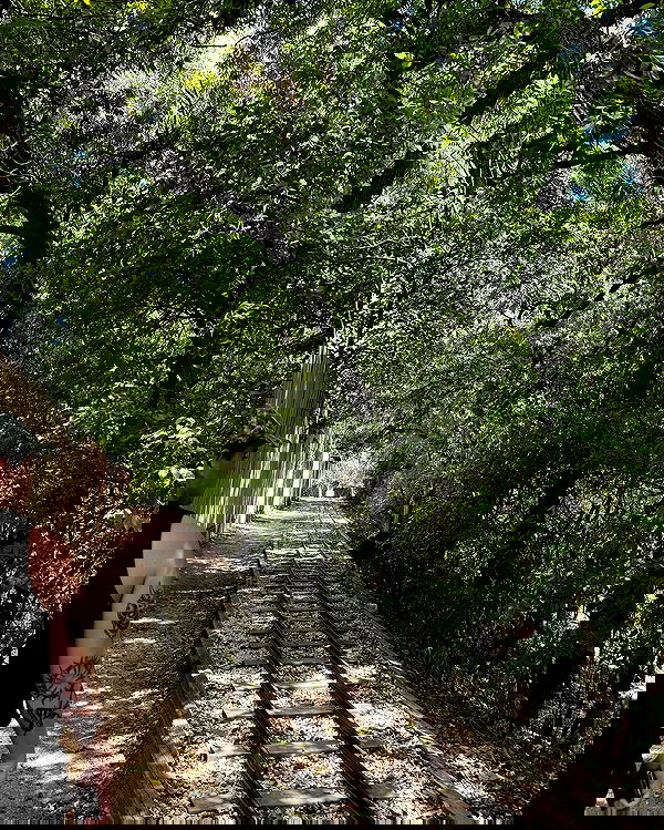 jtilb2 image ~ Altpins