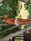 elizabethcampbelljones Altpins Profile Picture